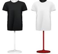 Short Slevee Tshirt